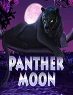 เด โม่ สล็อต pgชีวา ส ส ปอ ร์ วิเคราะห์ วันนี้: วิธีเล่น